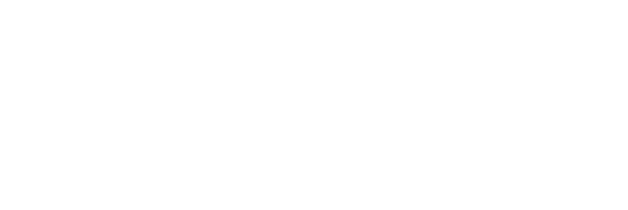 brand-guidlines