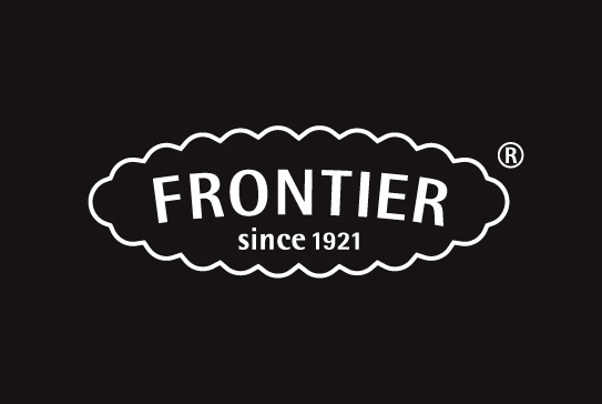 frontier logo icon