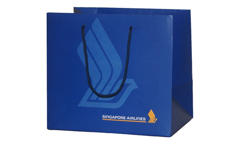 25 Creative Carry Bag Design 2020 DesignerPeople