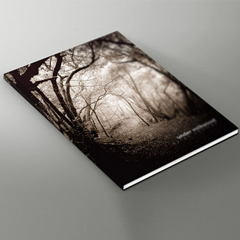 Book Cover Design Guide Process, Trends & Inspiration