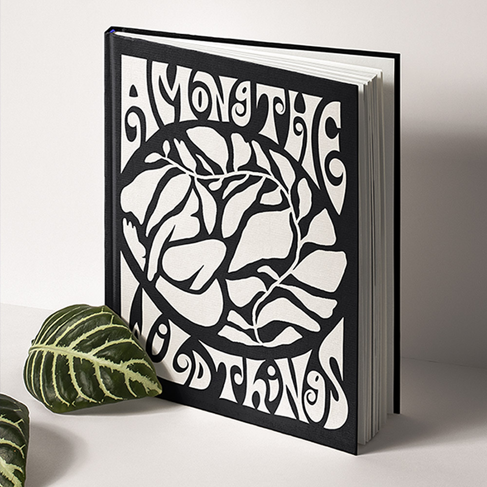 Book Cover Design Guide Process, Trends & Inspiration