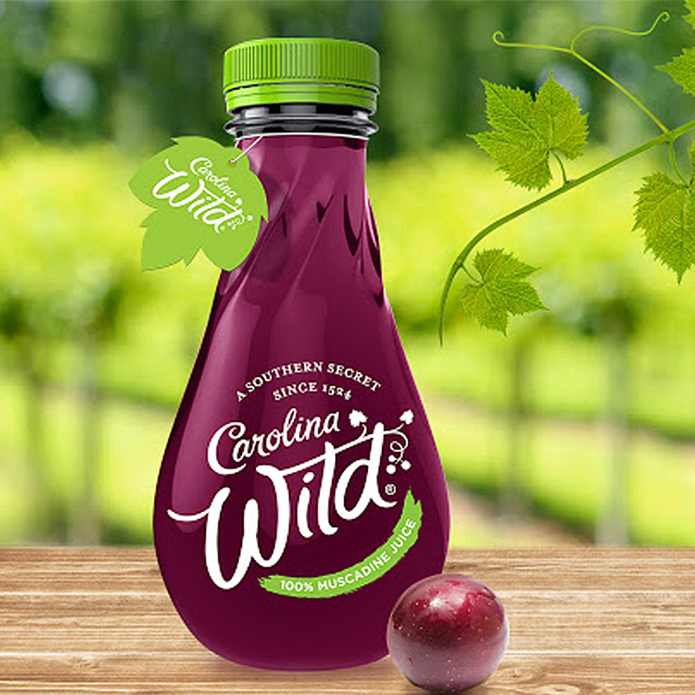 Awesome Fruit Juice Packaging Design for Inspiration