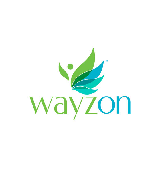 logo-category-wayzon